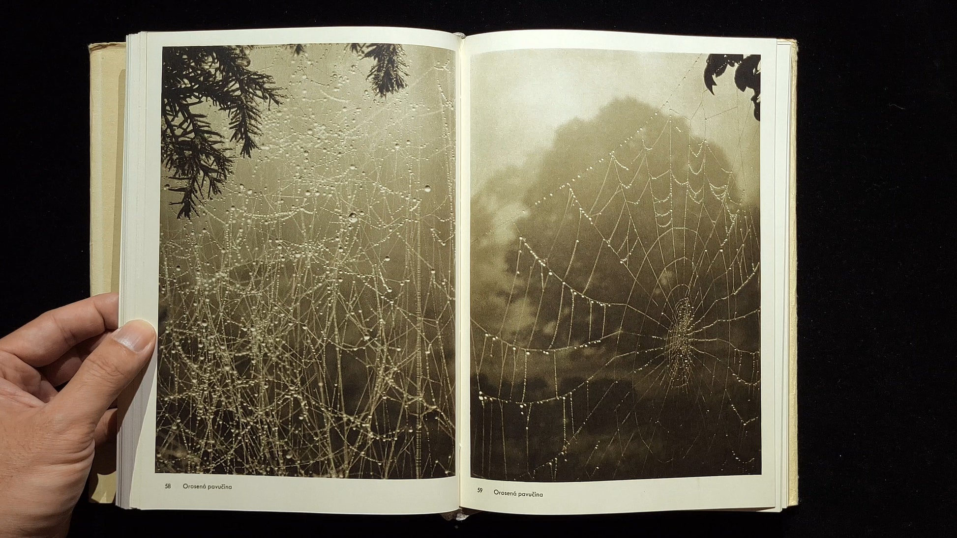 Fotografie / Josef Sudek