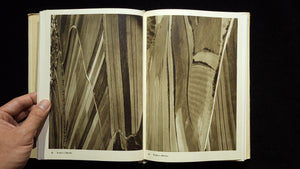 Fotografie / Josef Sudek