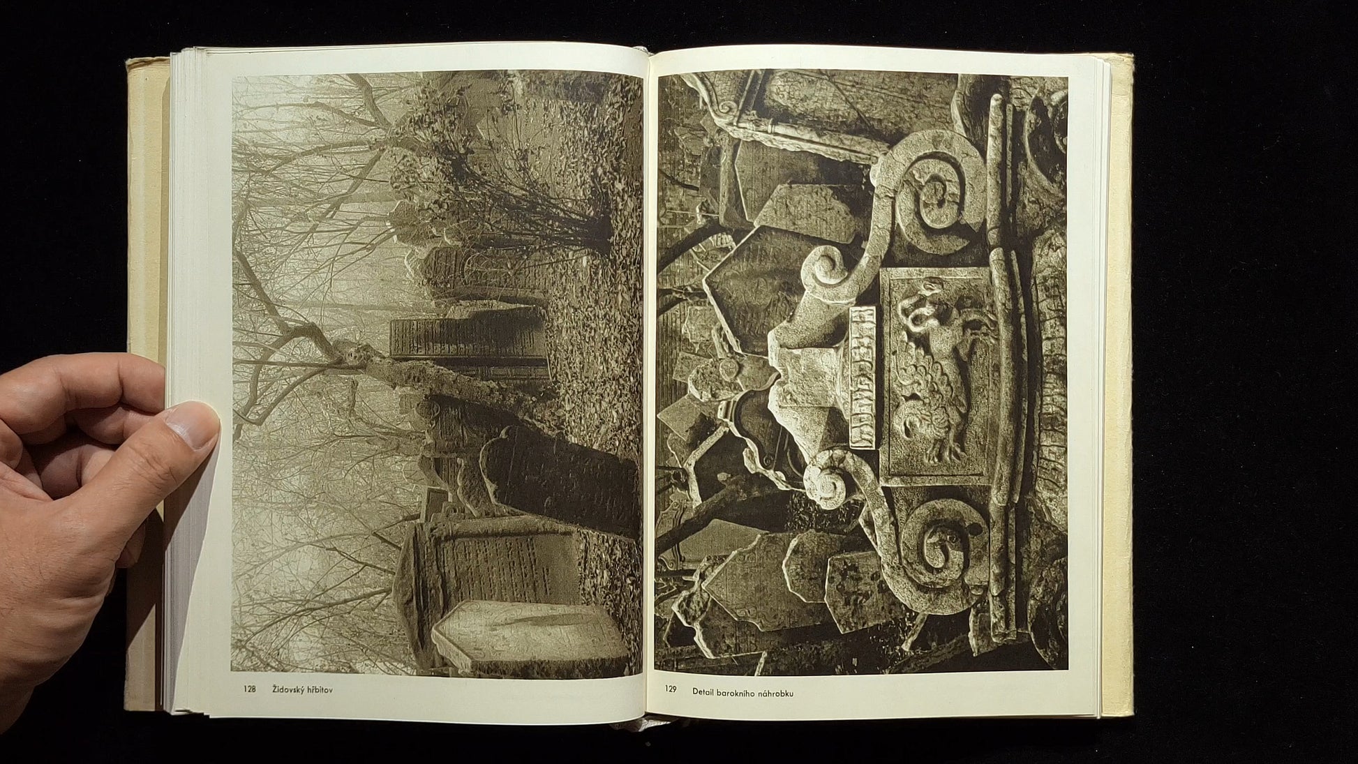 Fotografie / Josef Sudek