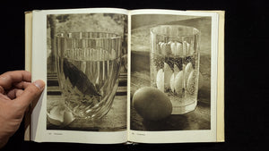 Fotografie / Josef Sudek