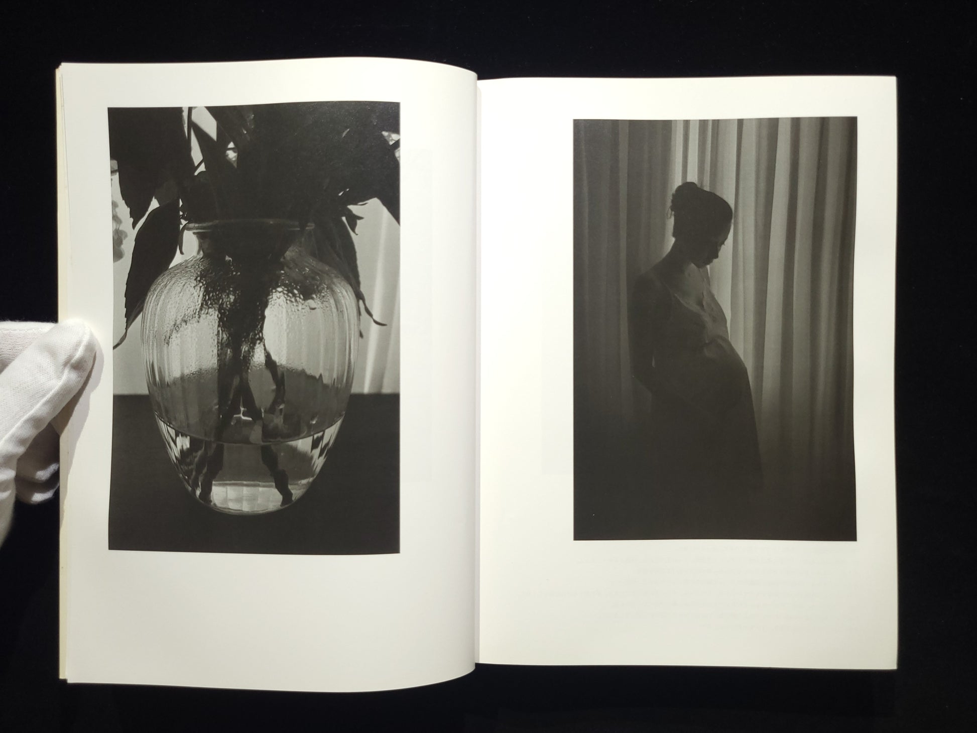 at Home / 上田義彦
