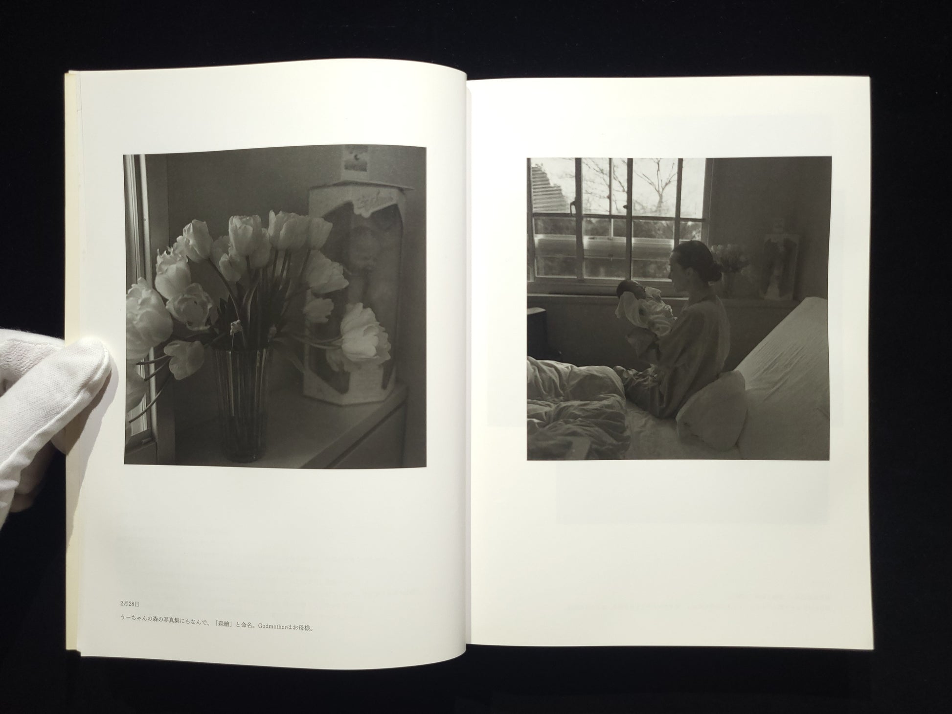 at Home / 上田義彦