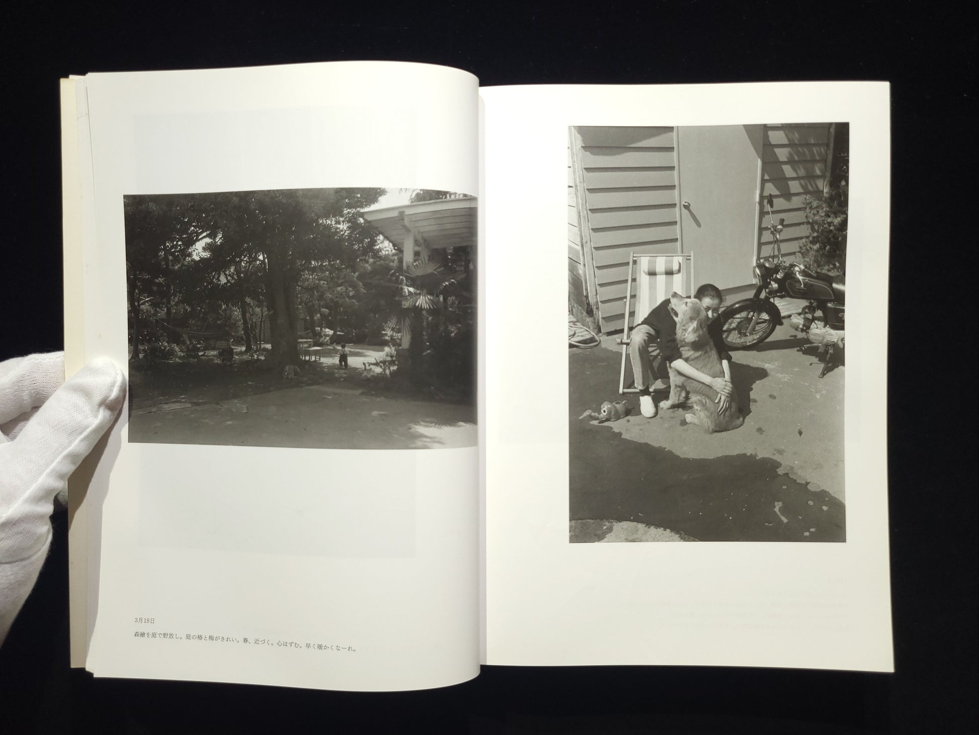 at Home / 上田義彦