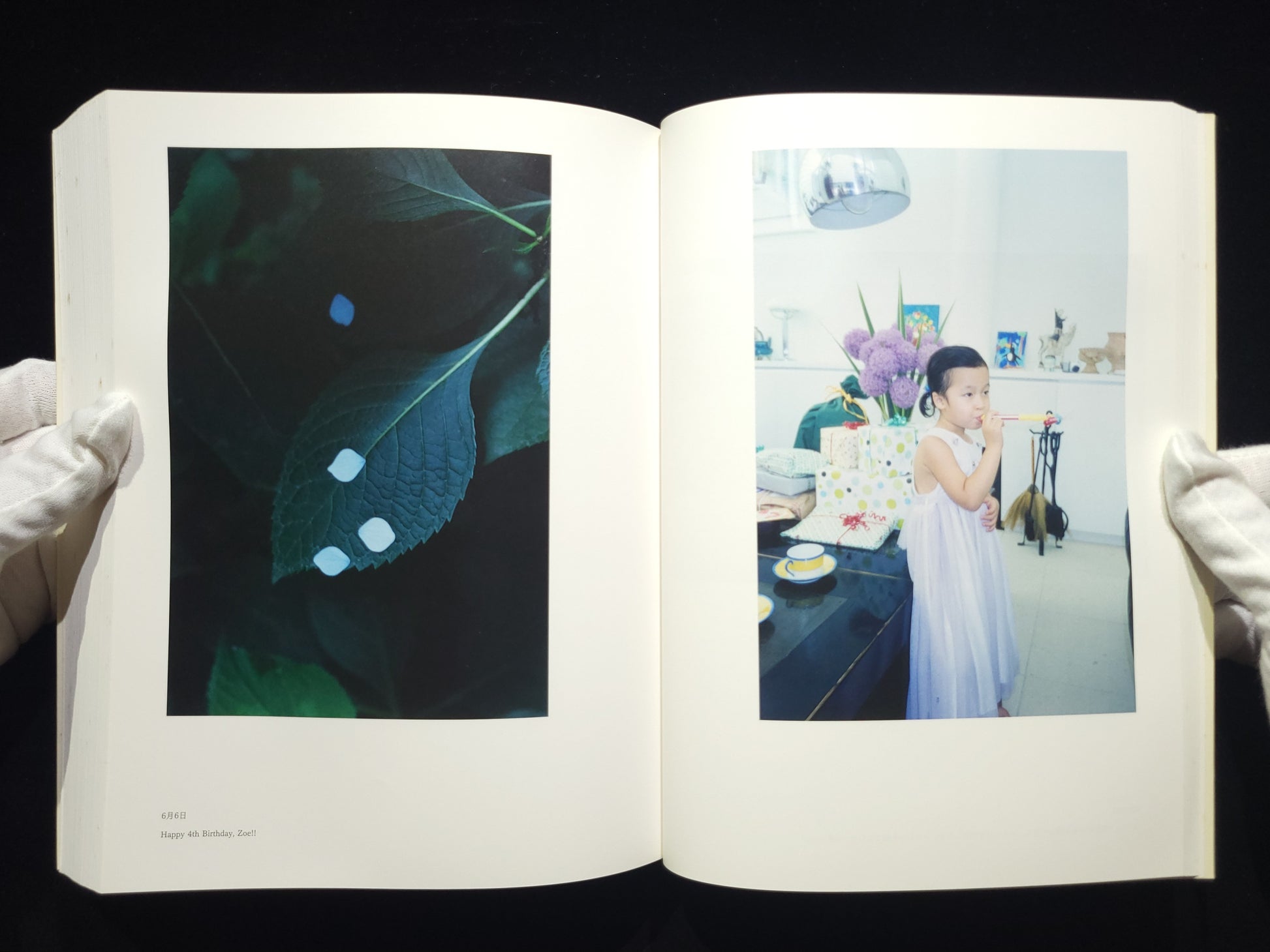 at Home / 上田義彦