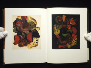YOSHIHIKO UEDA WORKS 1986-1993 / 上田義彦