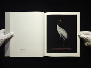 Chamber of Curiosities / 上田義彦