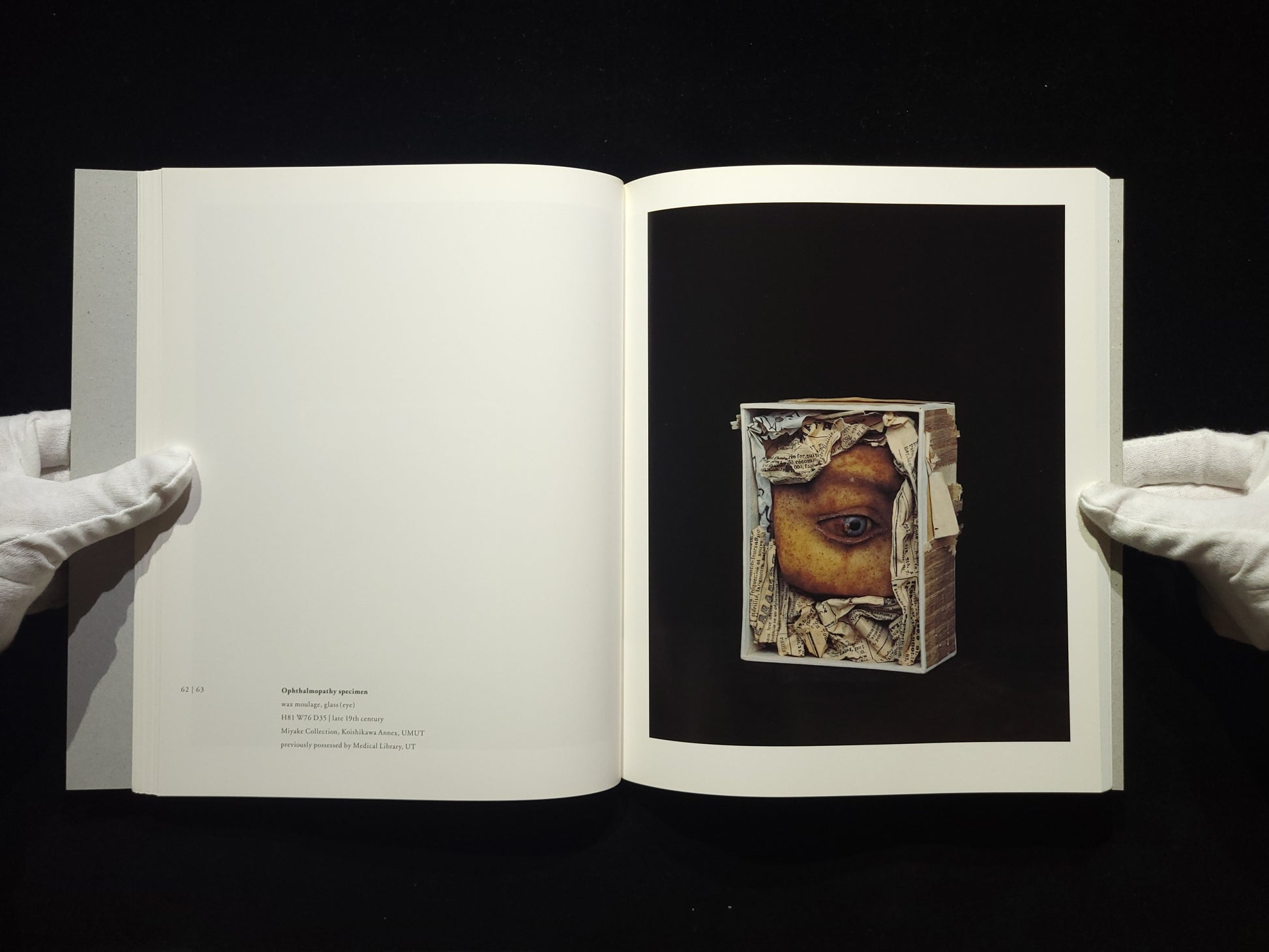 Chamber of Curiosities / 上田義彦