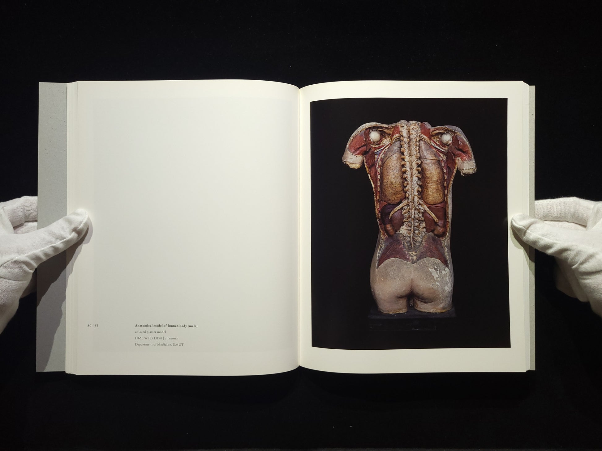 Chamber of Curiosities / 上田義彦