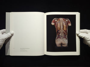 Chamber of Curiosities / 上田義彦
