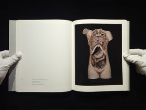 Chamber of Curiosities / 上田義彦