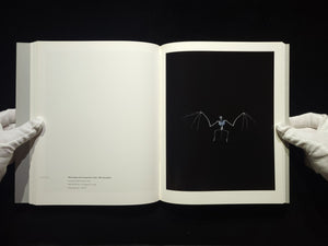 Chamber of Curiosities / 上田義彦