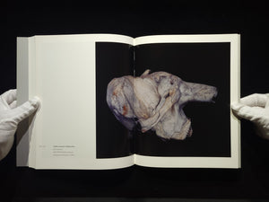 Chamber of Curiosities / 上田義彦