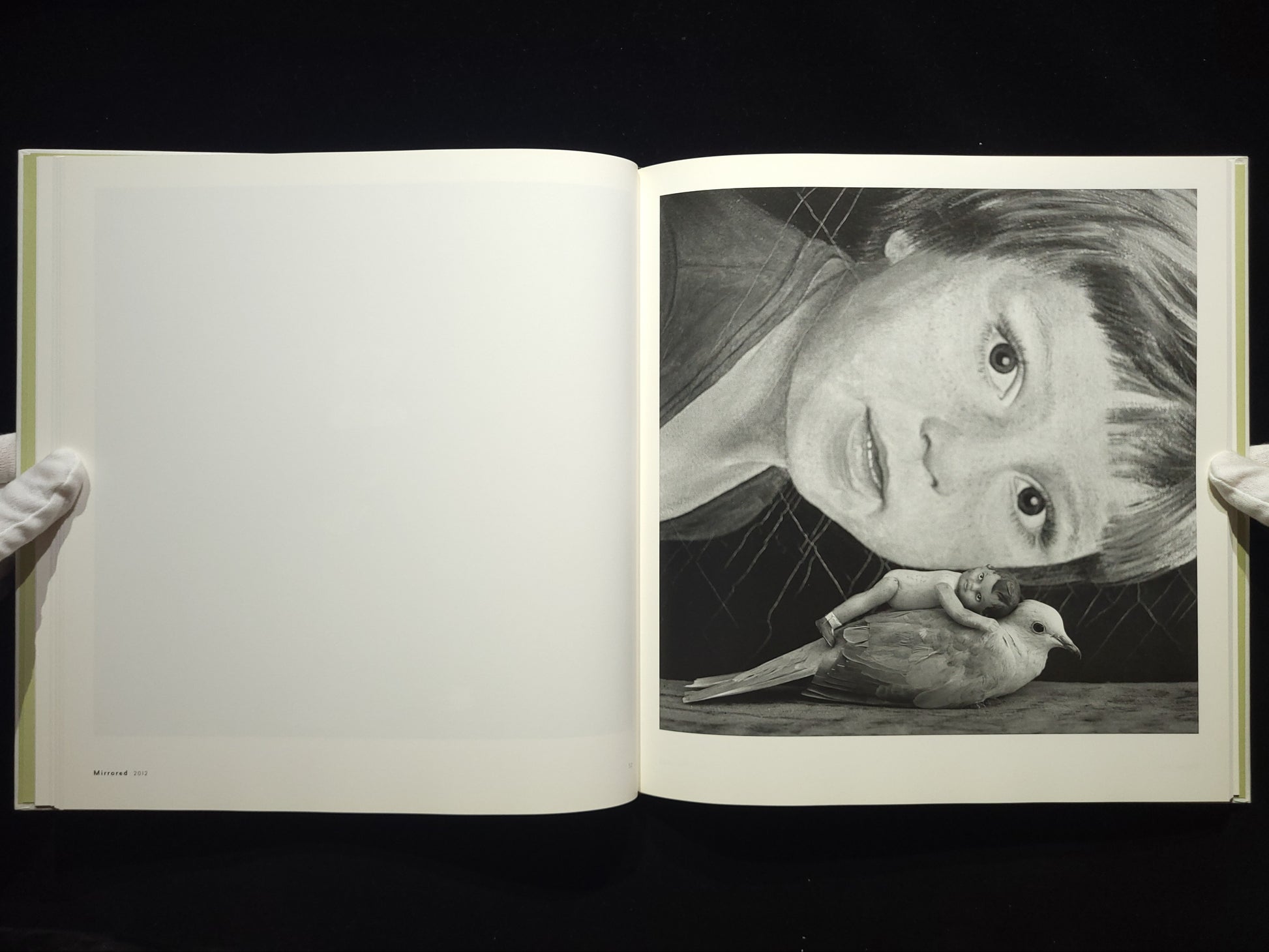 Asylum of the Birds / Roger Ballen