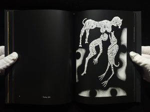 The Theatre of Apparitions / Roger Ballen