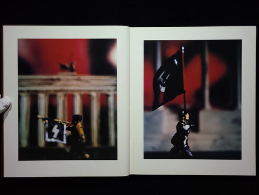 Mein Kampf / David Levinthal