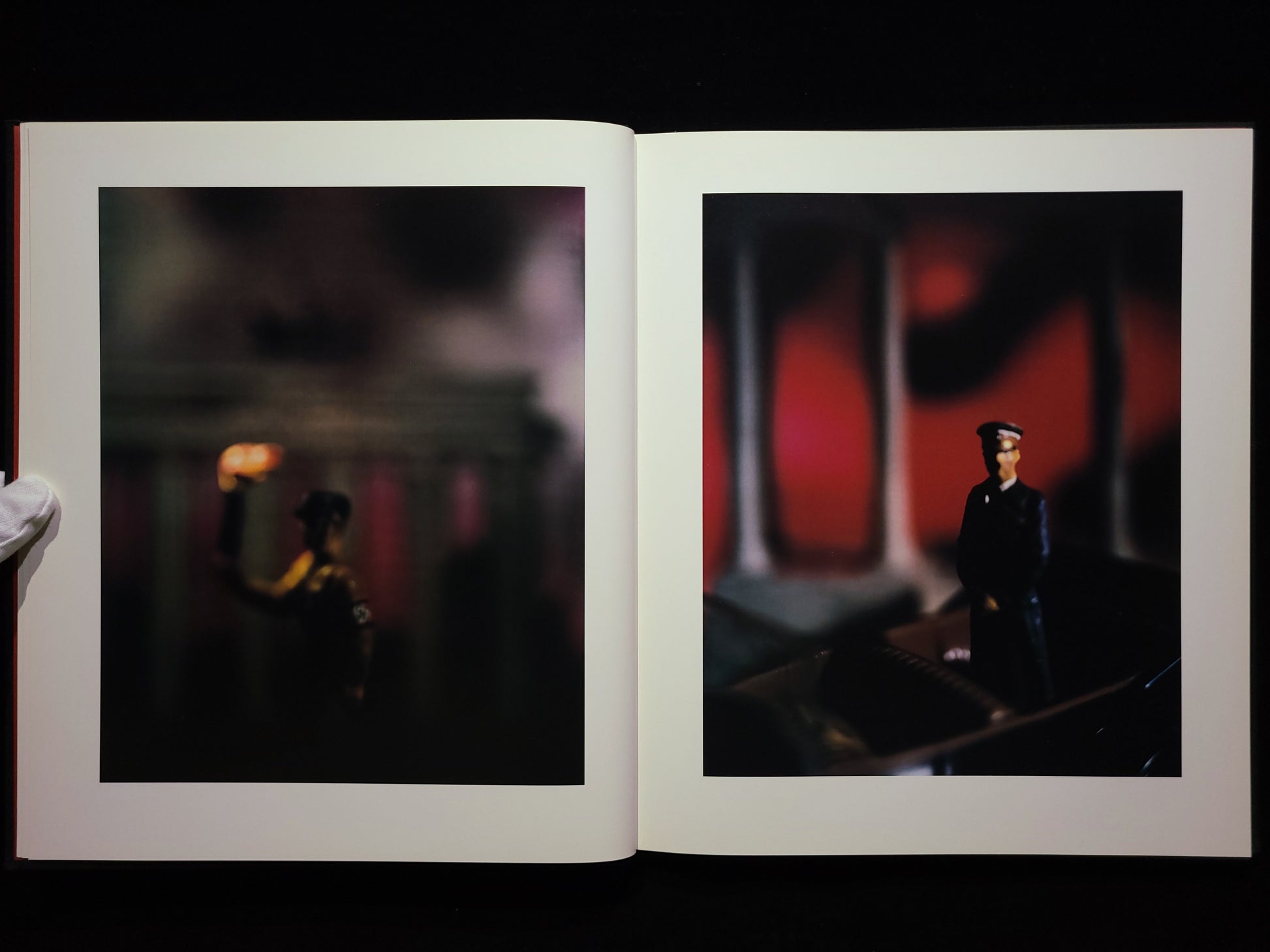 Mein Kampf / David Levinthal