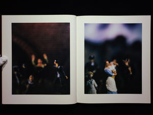 Mein Kampf / David Levinthal