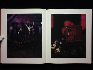 Mein Kampf / David Levinthal