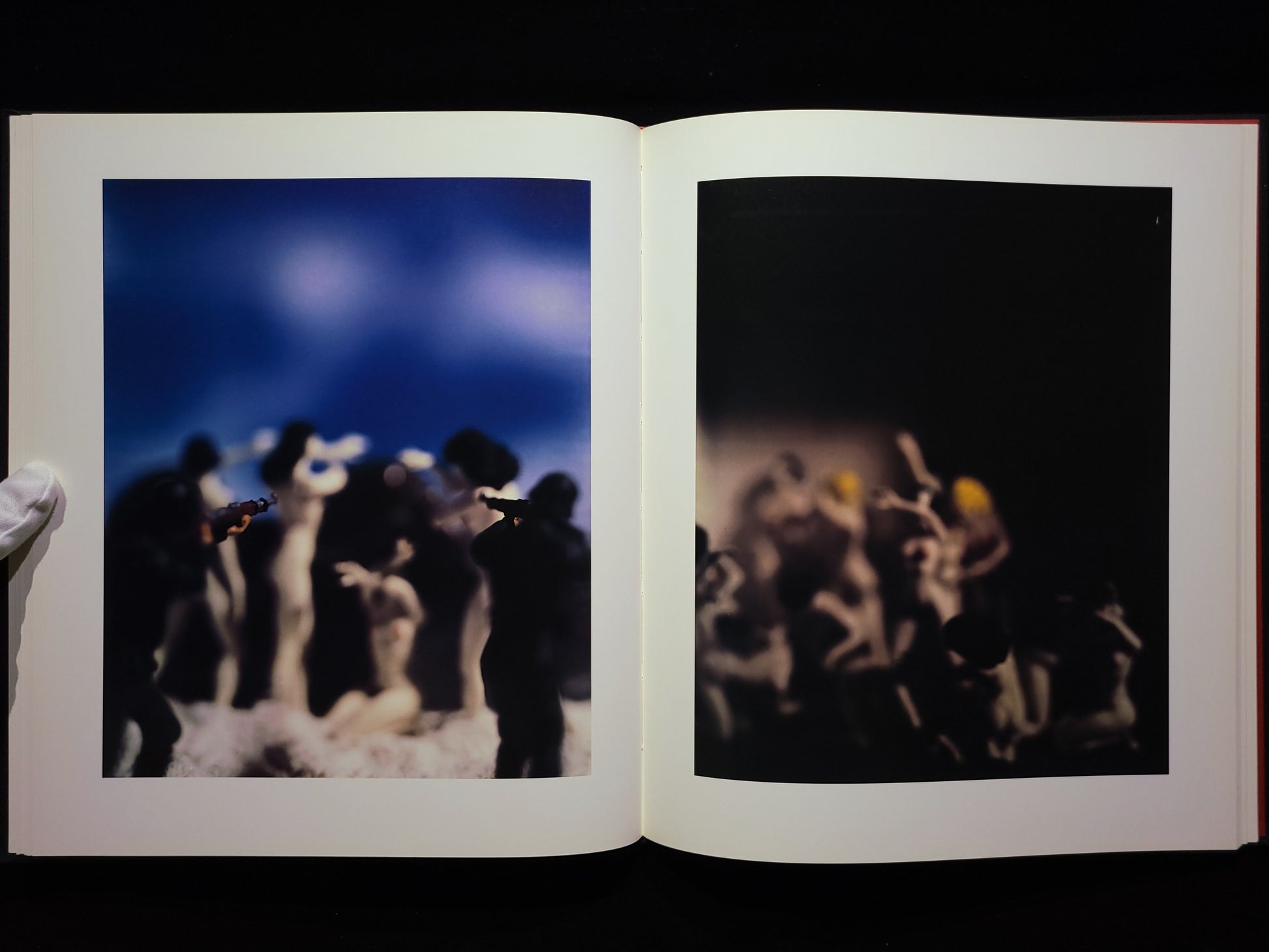 Mein Kampf / David Levinthal