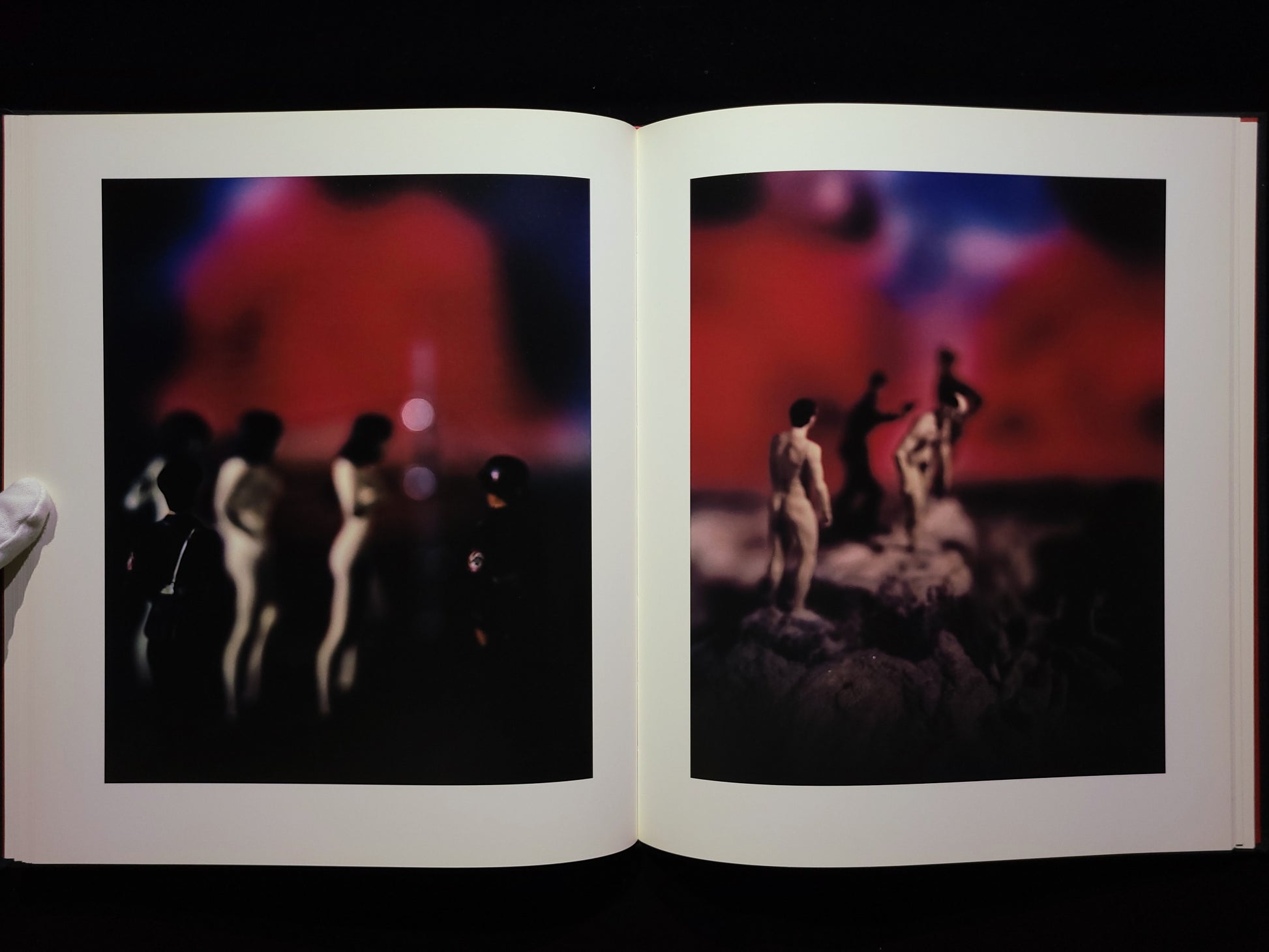 Mein Kampf / David Levinthal