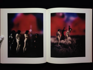 Mein Kampf / David Levinthal