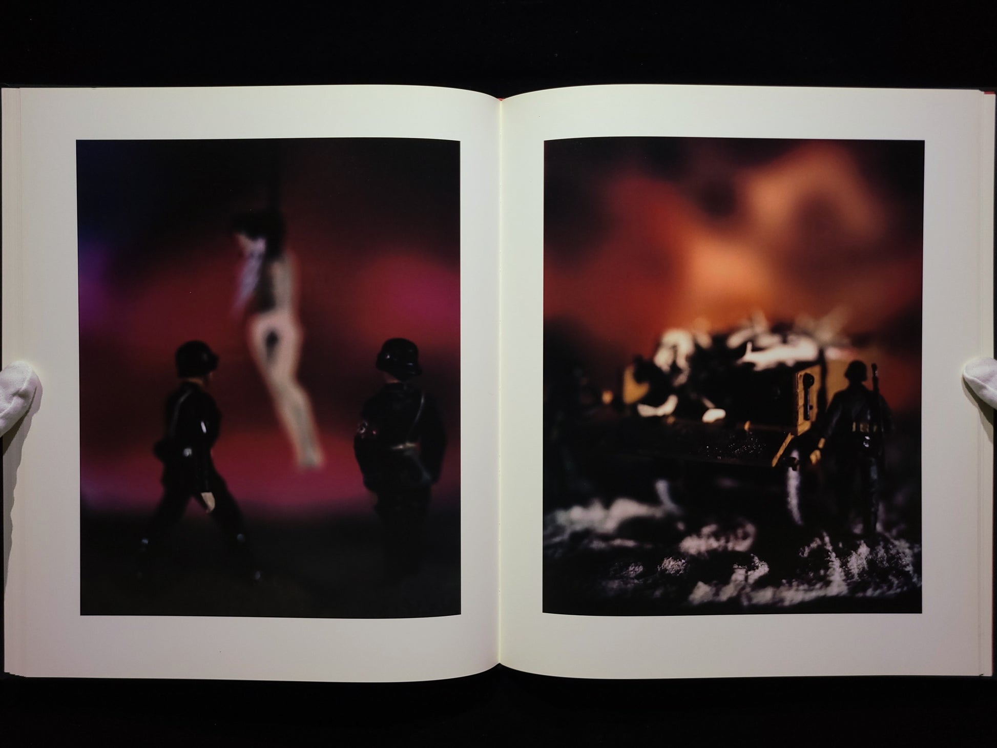 Mein Kampf / David Levinthal