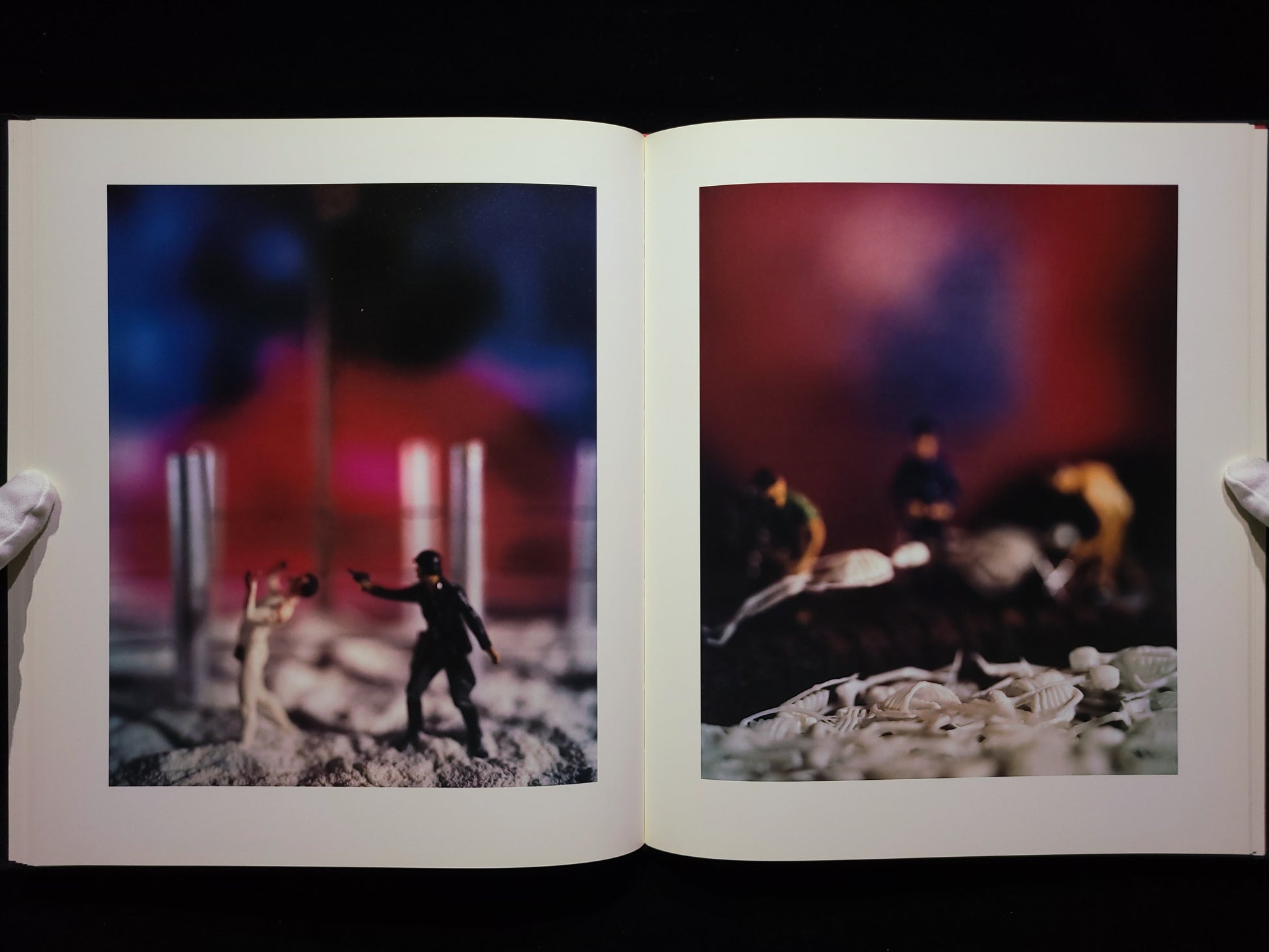 Mein Kampf / David Levinthal
