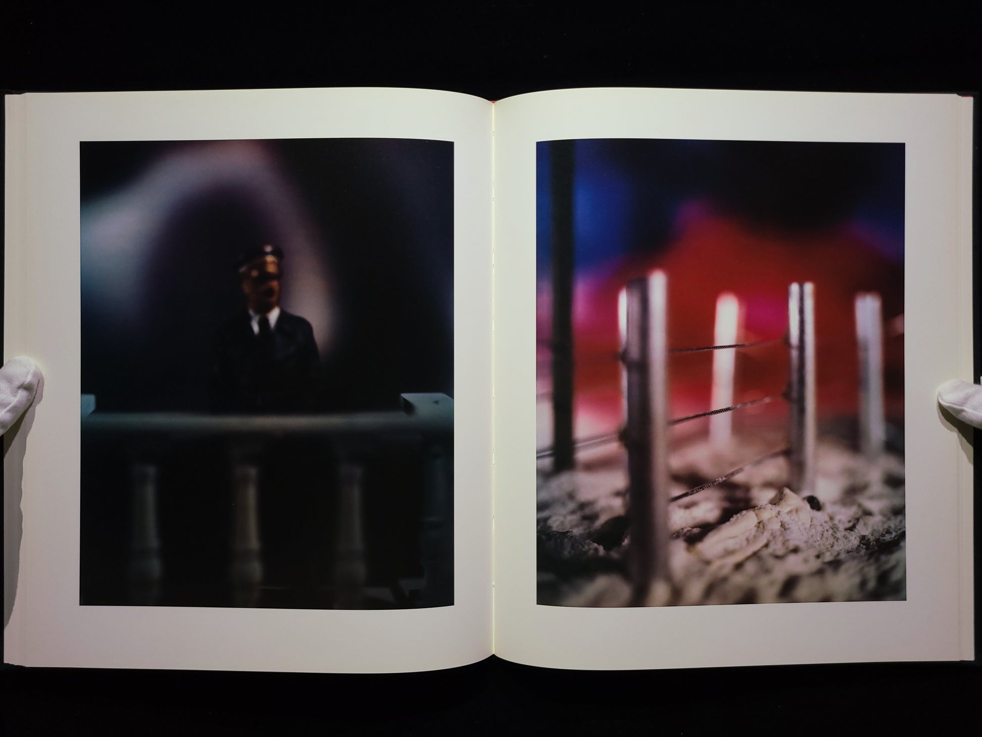 Mein Kampf / David Levinthal