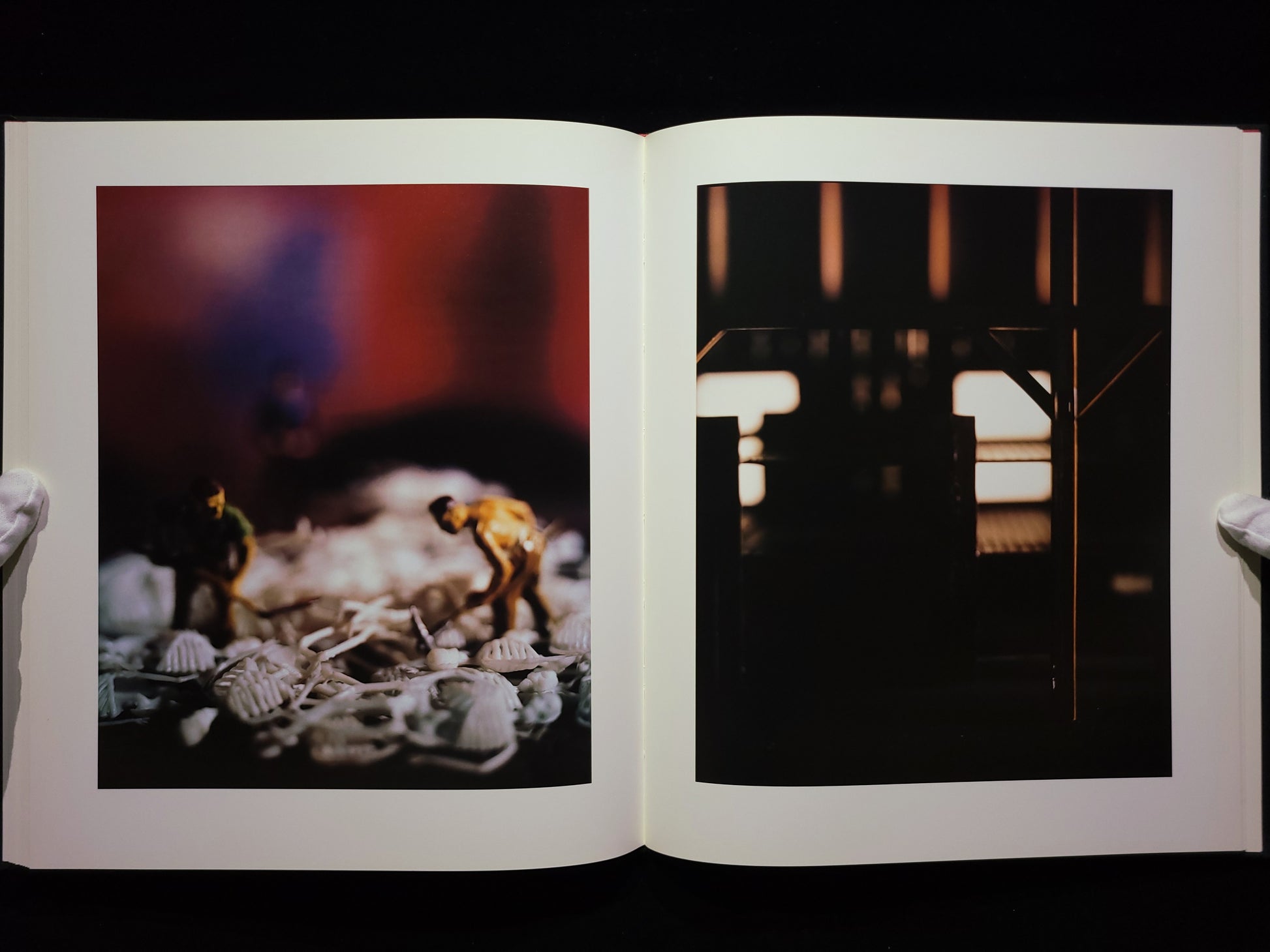 Mein Kampf / David Levinthal