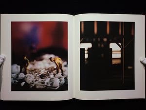 Mein Kampf / David Levinthal