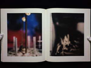 Mein Kampf / David Levinthal