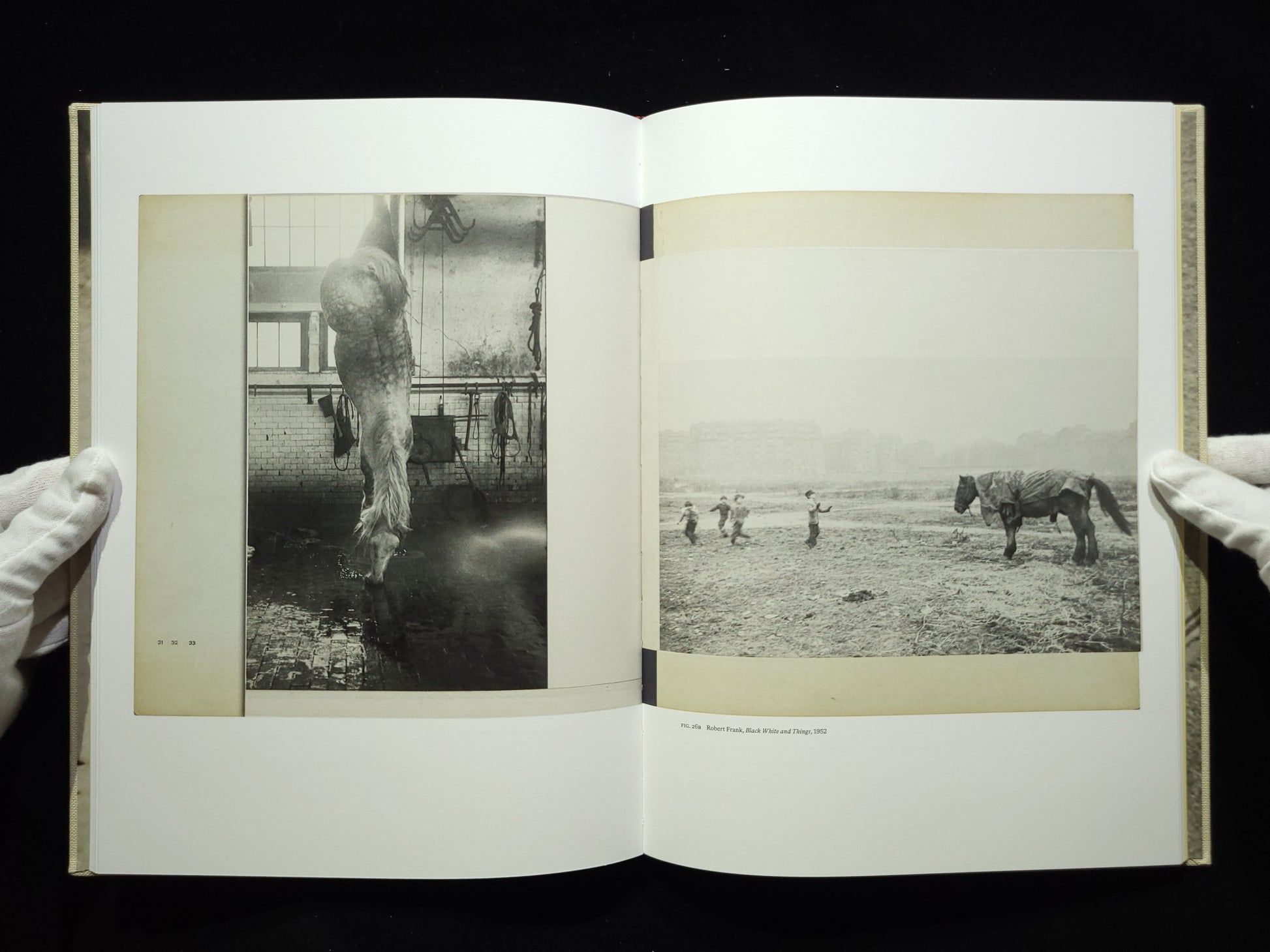 Mary’s Book / Robert Frank