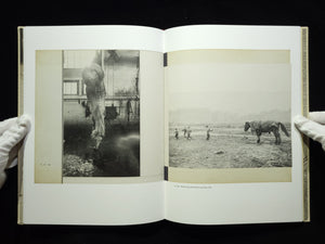 Mary’s Book / Robert Frank