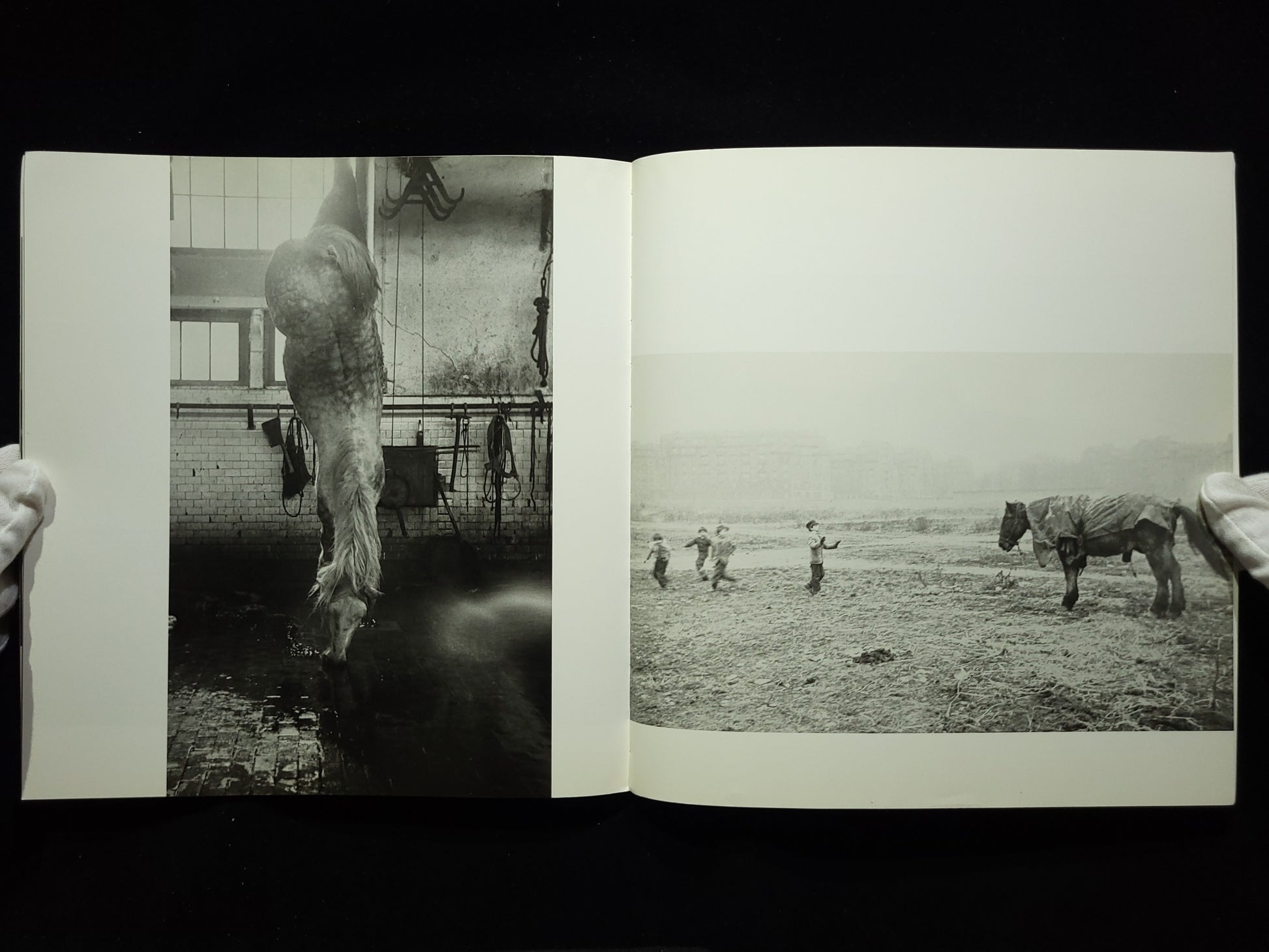 Black White And Things- Robert Frank