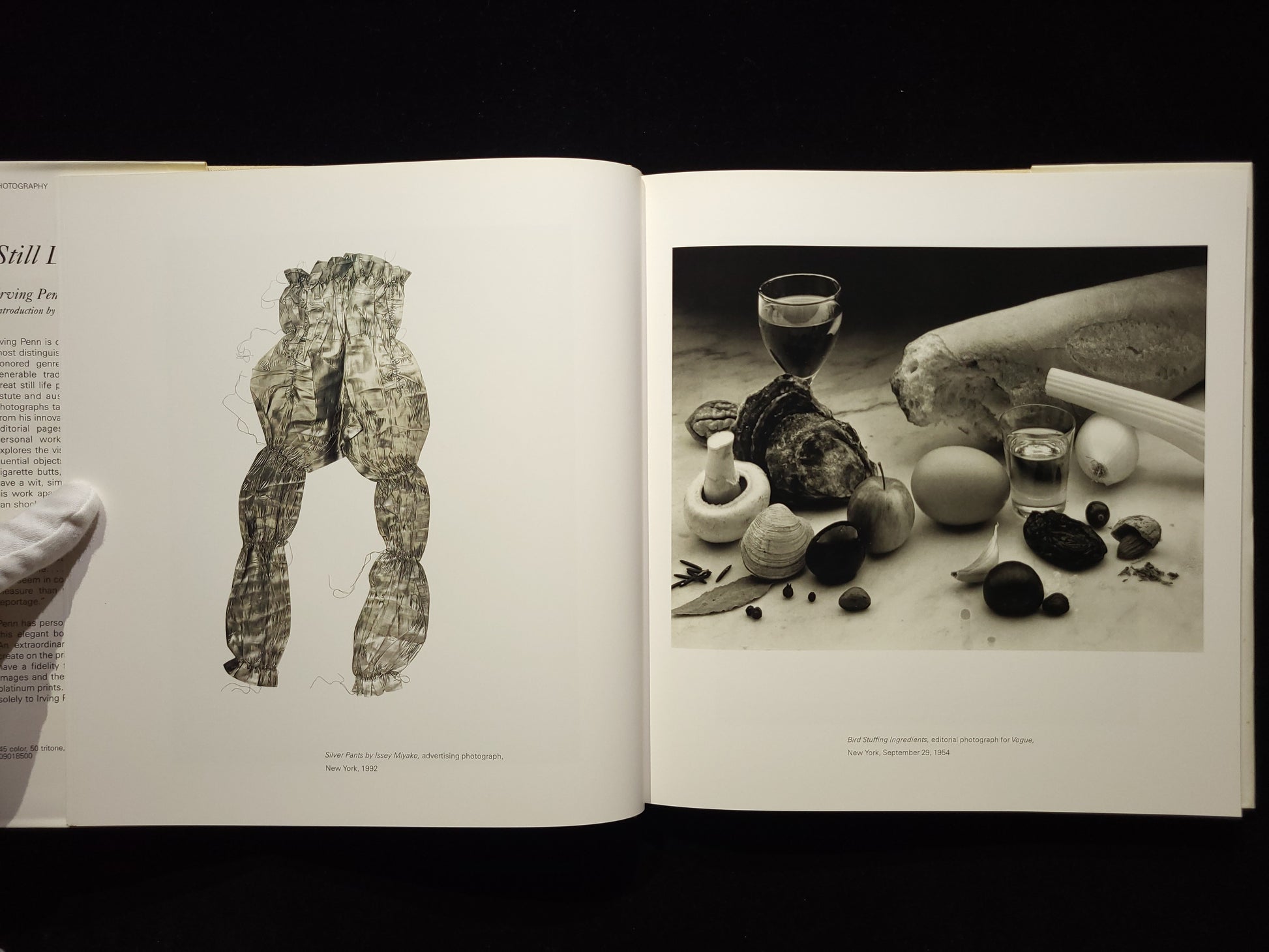 Still Life：Irving Penn Photographs, 1938-2000