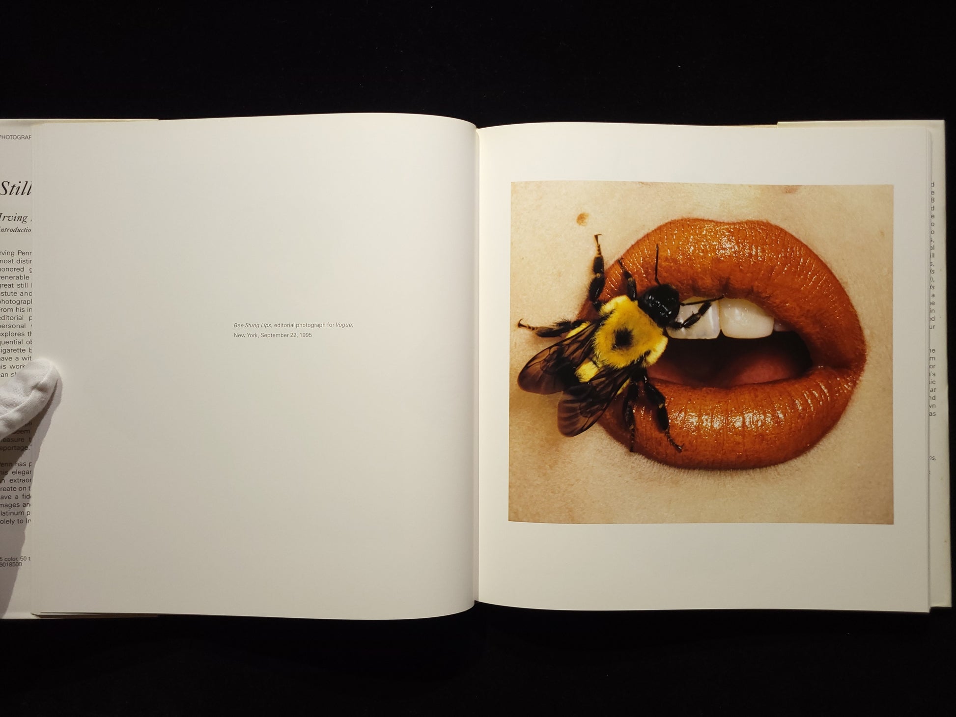 Still Life：Irving Penn Photographs, 1938-2000
