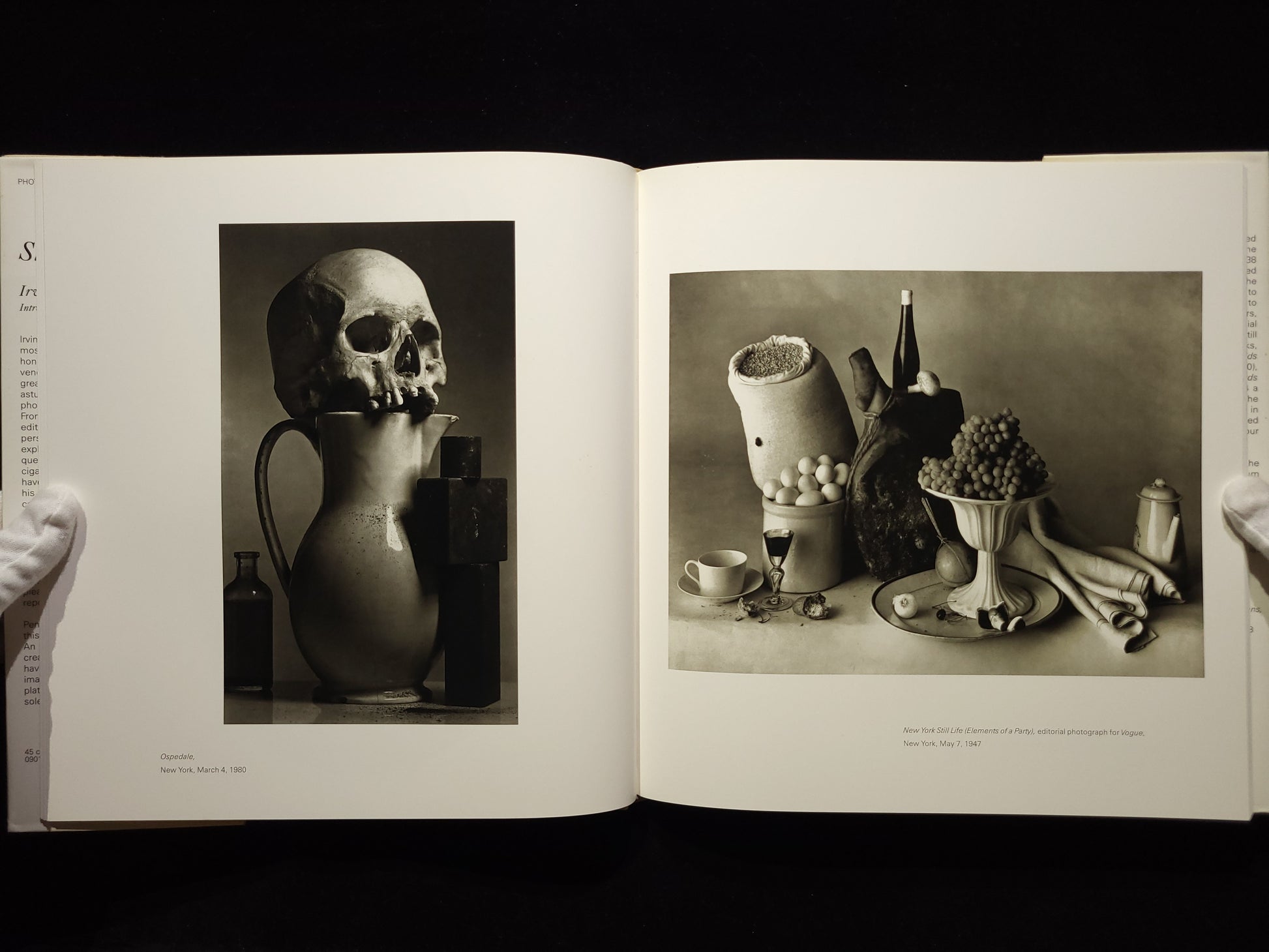 Still Life：Irving Penn Photographs, 1938-2000