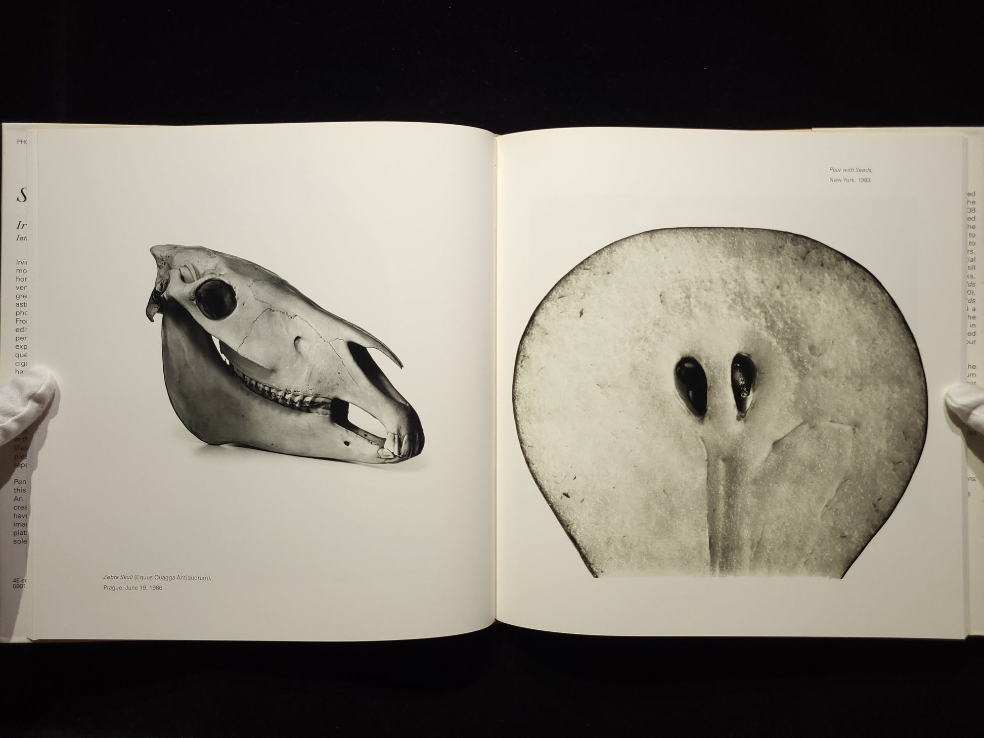 Still Life：Irving Penn Photographs, 1938-2000