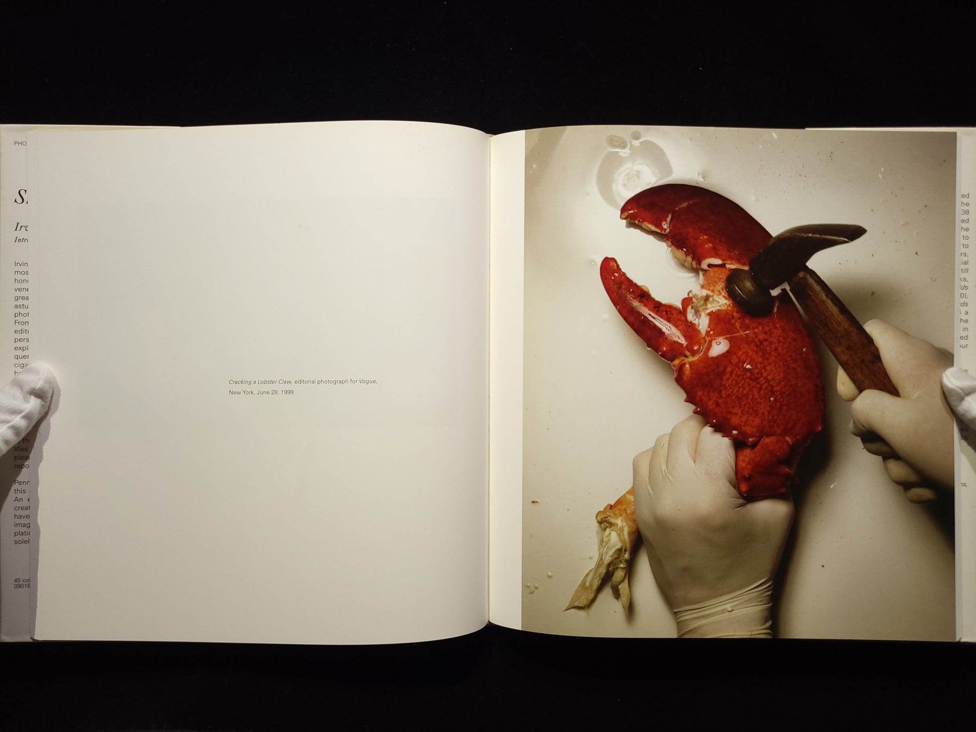 Still Life：Irving Penn Photographs, 1938-2000