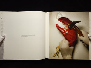 Still Life：Irving Penn Photographs, 1938-2000