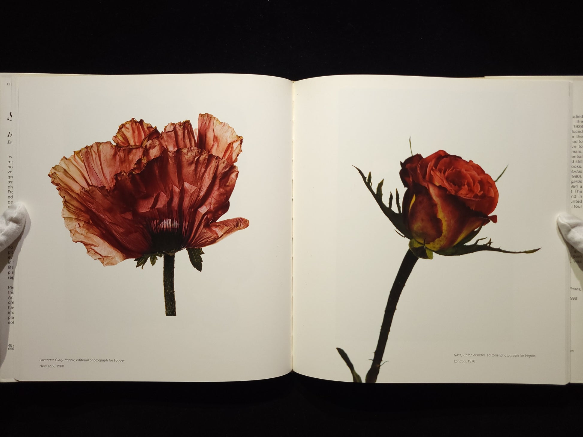Still Life：Irving Penn Photographs, 1938-2000