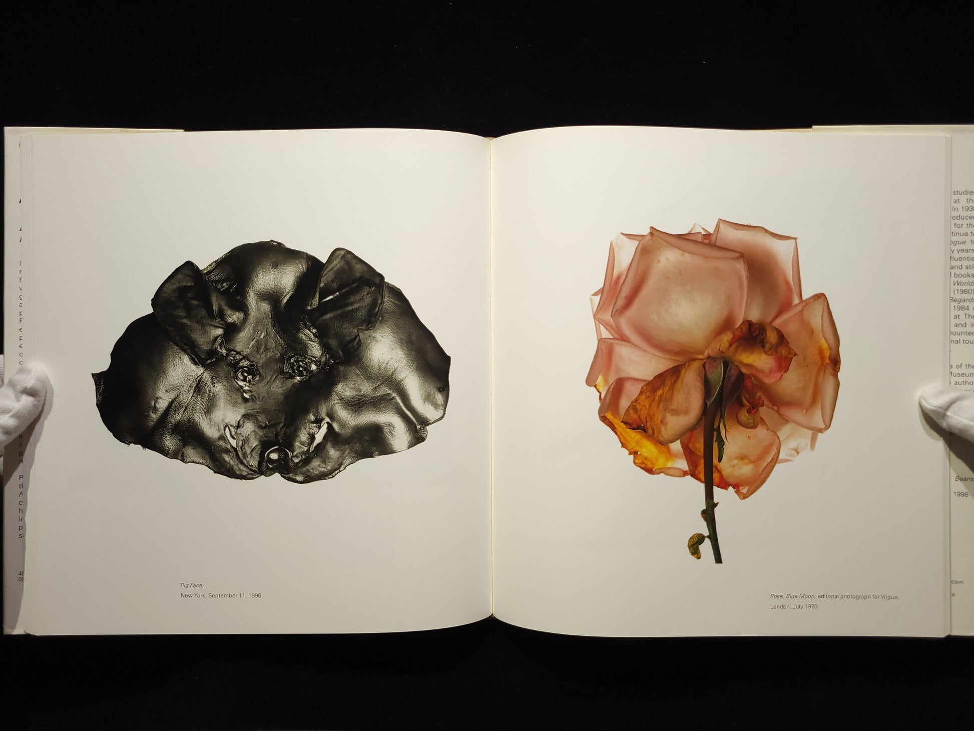 Still Life：Irving Penn Photographs, 1938-2000