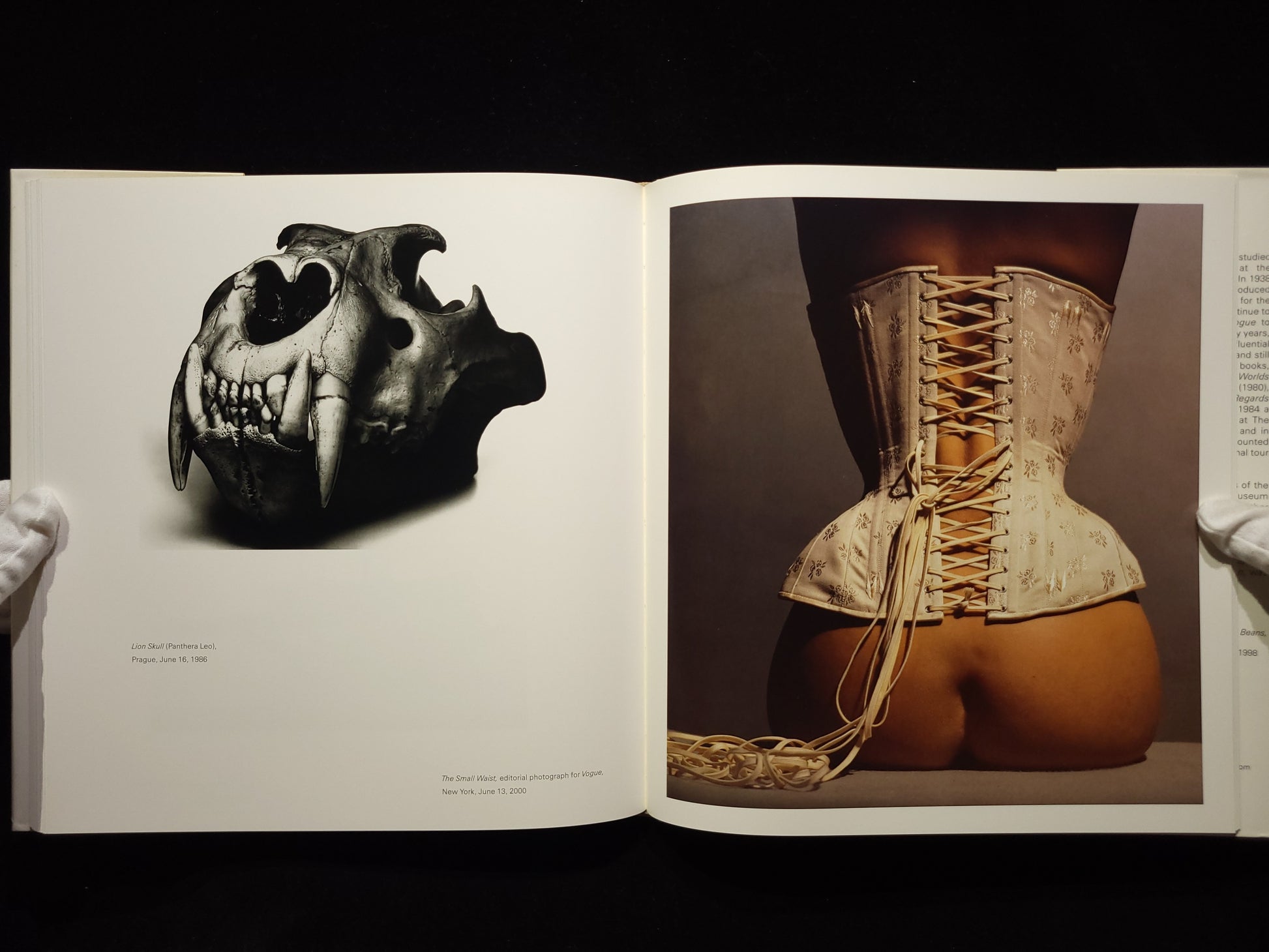 Still Life：Irving Penn Photographs, 1938-2000