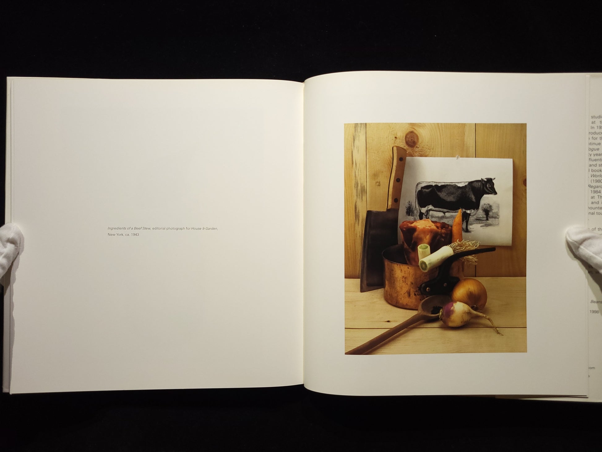 Still Life：Irving Penn Photographs, 1938-2000