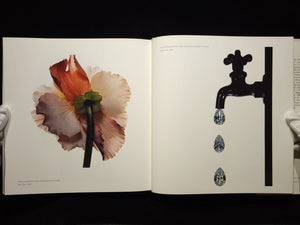 Still Life：Irving Penn Photographs, 1938-2000