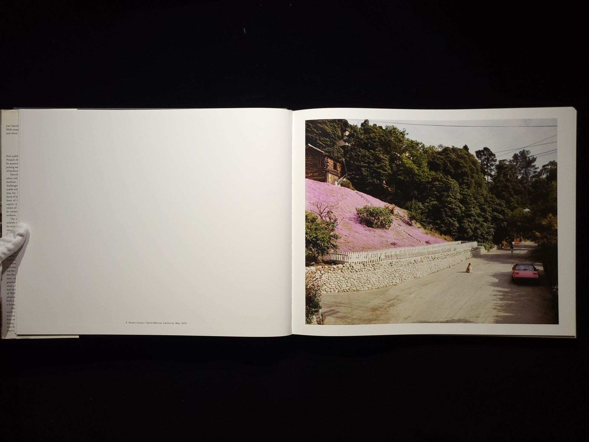 Joel Sternfeld: American Prospects