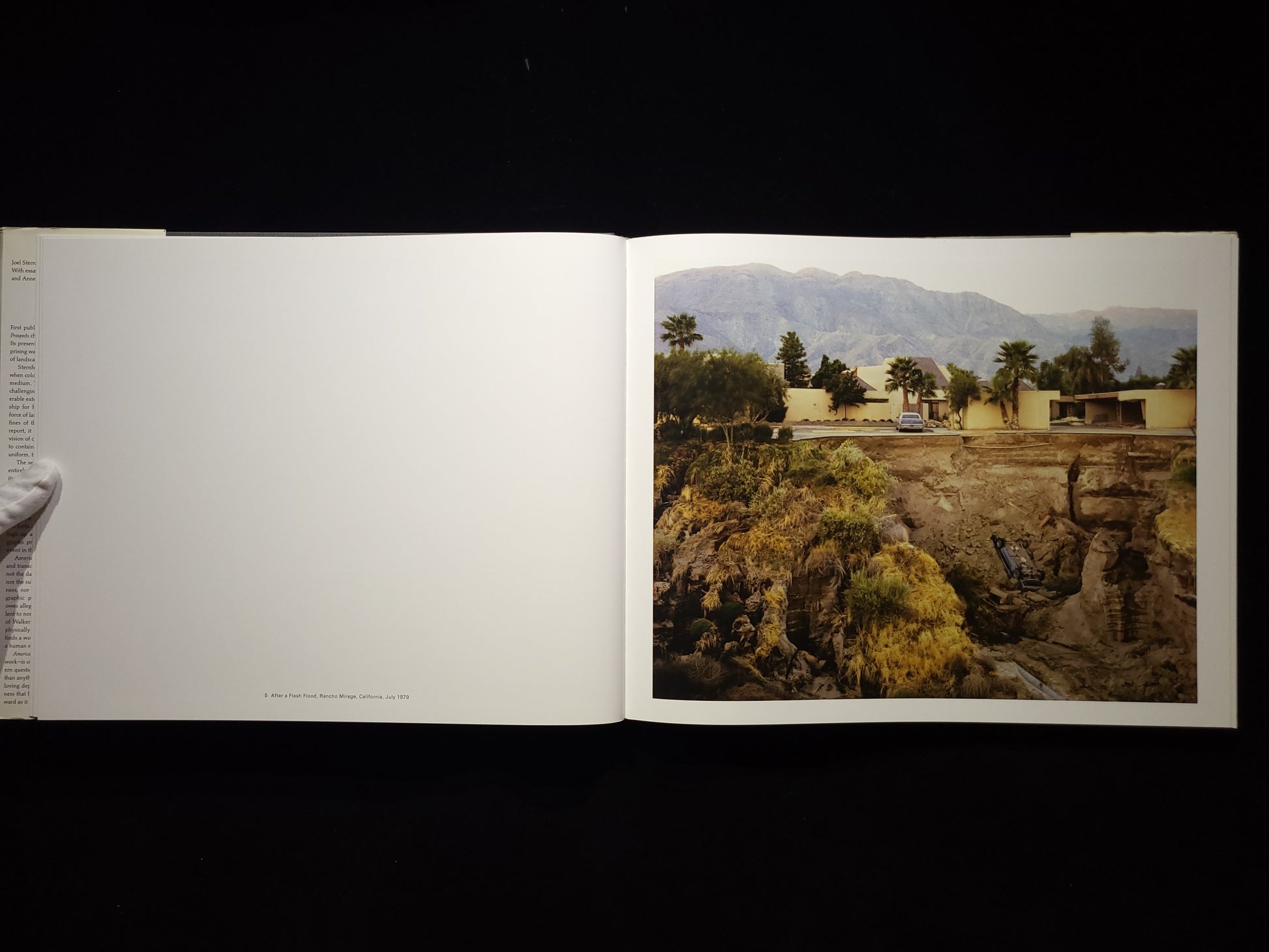 Joel Sternfeld: American Prospects