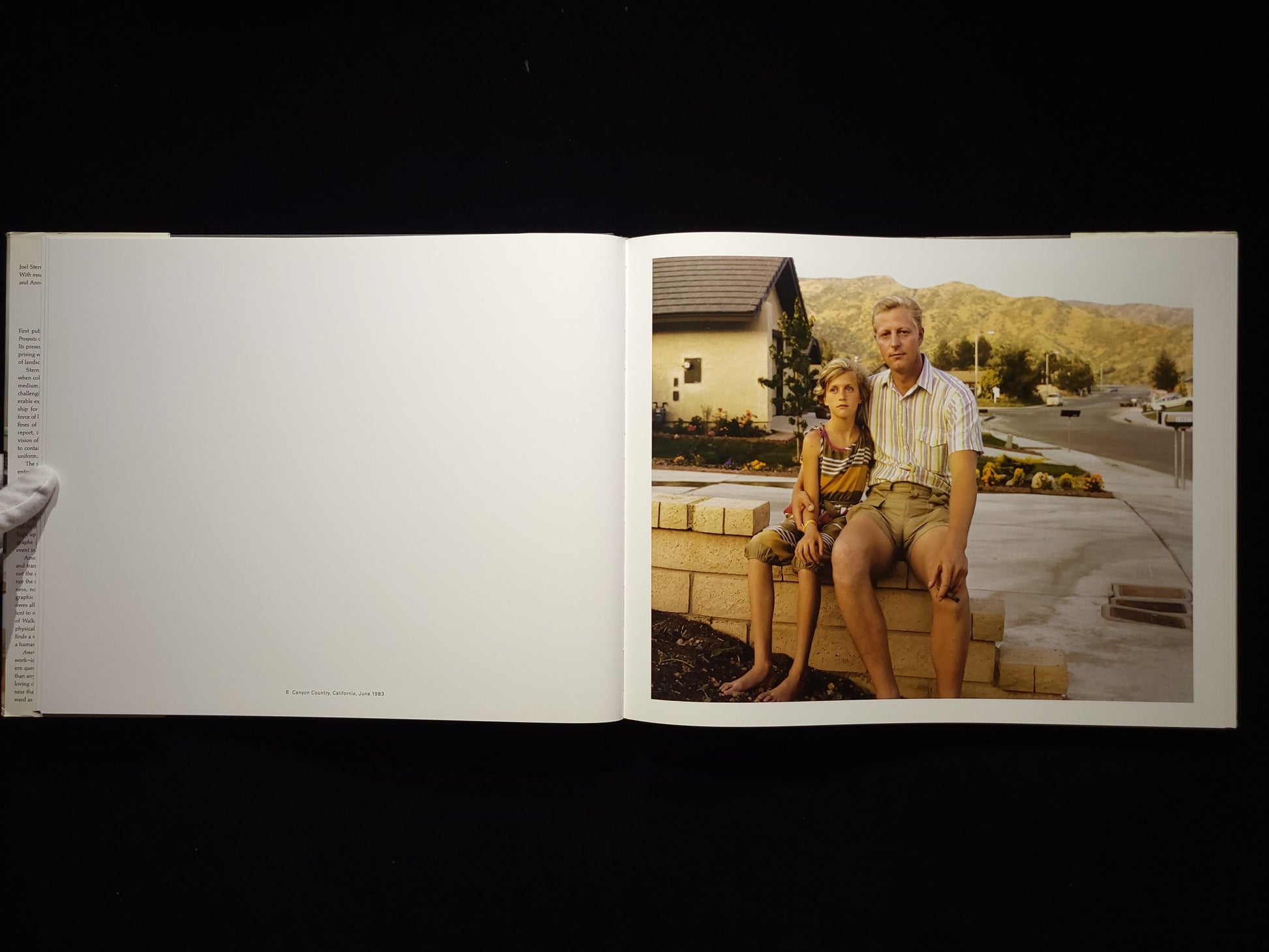 Joel Sternfeld: American Prospects