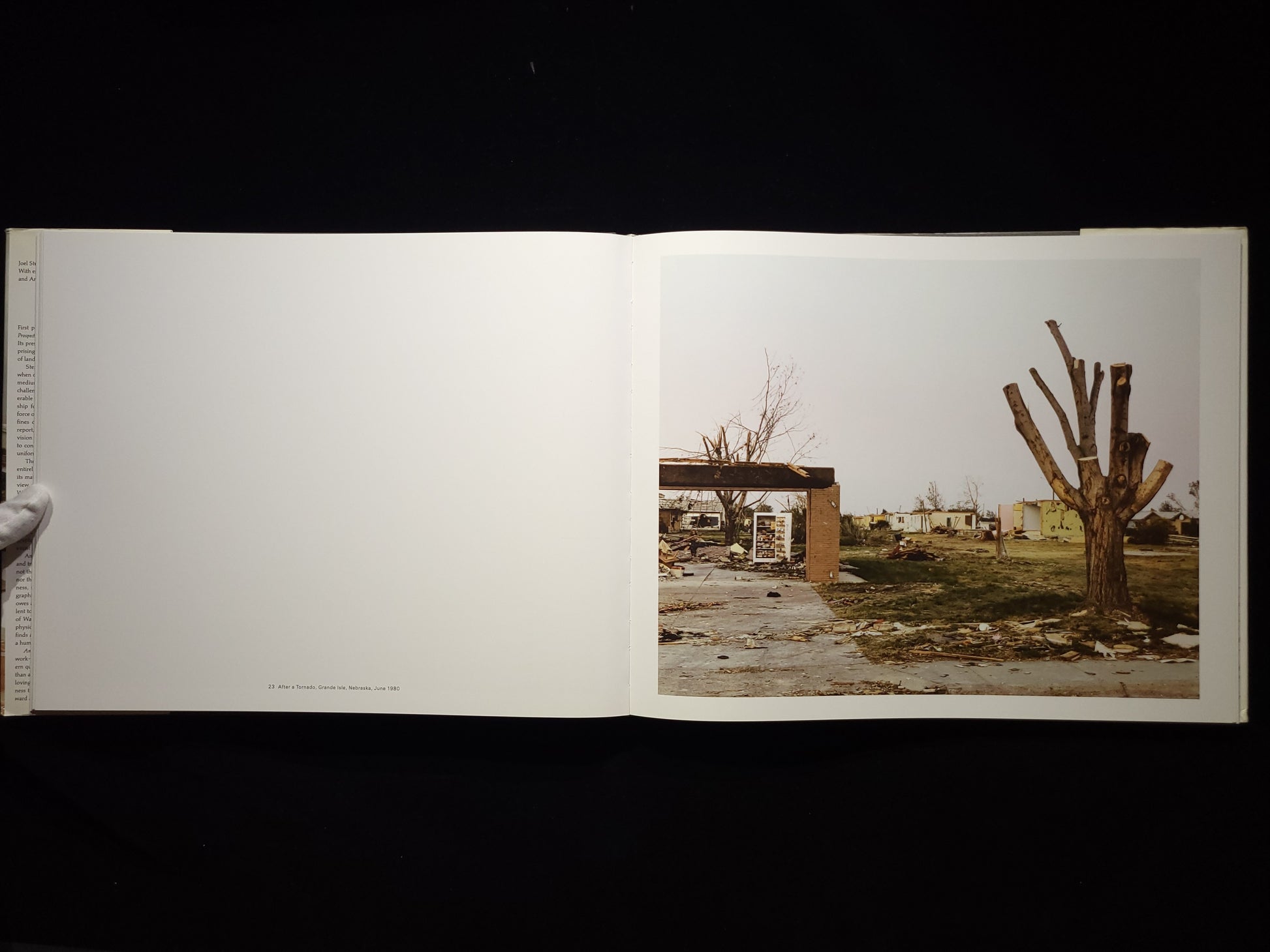 Joel Sternfeld: American Prospects