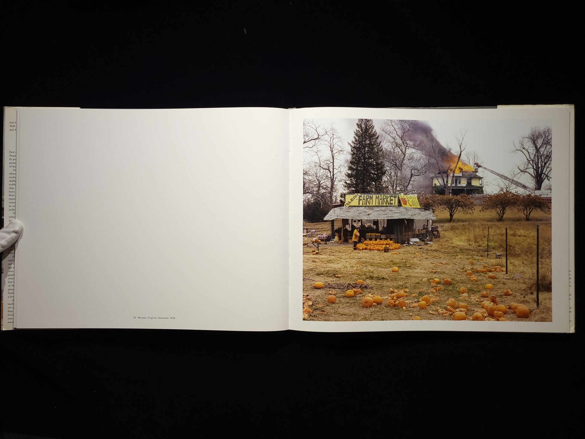 Joel Sternfeld: American Prospects